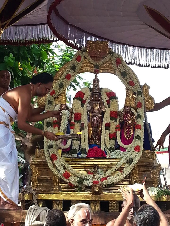 Thiruvallikeni-Sri-Parthasarathy-Swami_06