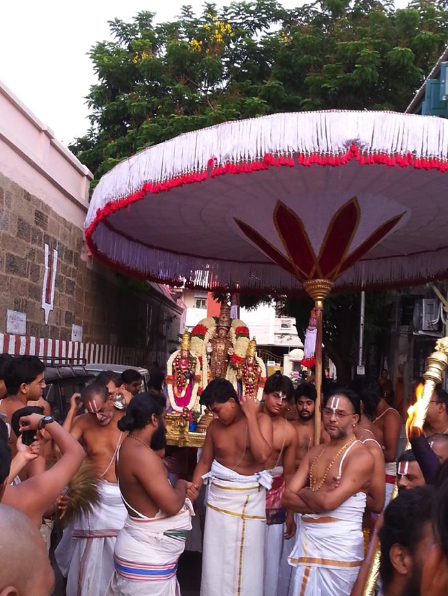 Thiruvallikeni-Sri-Parthasarathy-Swami_12