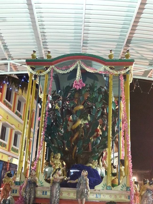Thiruvallikeni-Sri-Parthasarathy-Swami_13