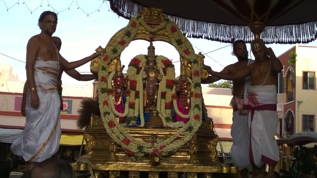 Thiruvallikeni-Sri-Parthasarathy-Swami_14