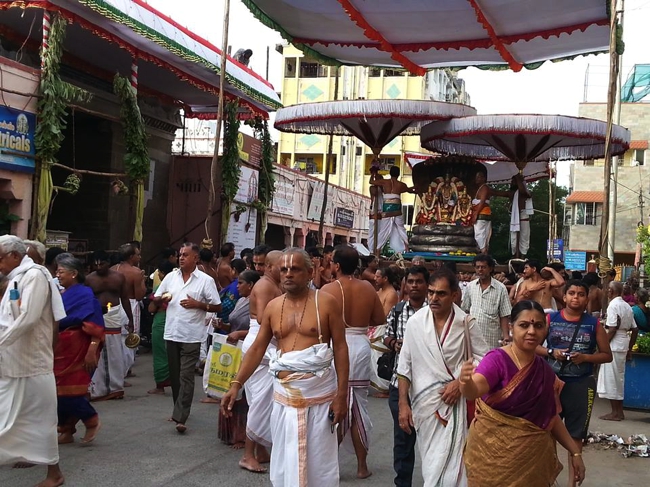 Thiruvallikeni-Sri-Parthasarathy-Swami_15