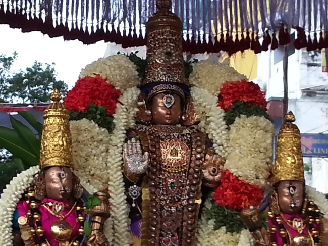 Thiruvallikeni-Sri-Parthasarathy-Swami_16