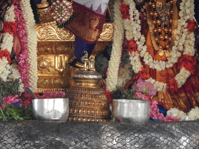 Thiruvallikeni-Sri-Parthasarathy-Swami_17
