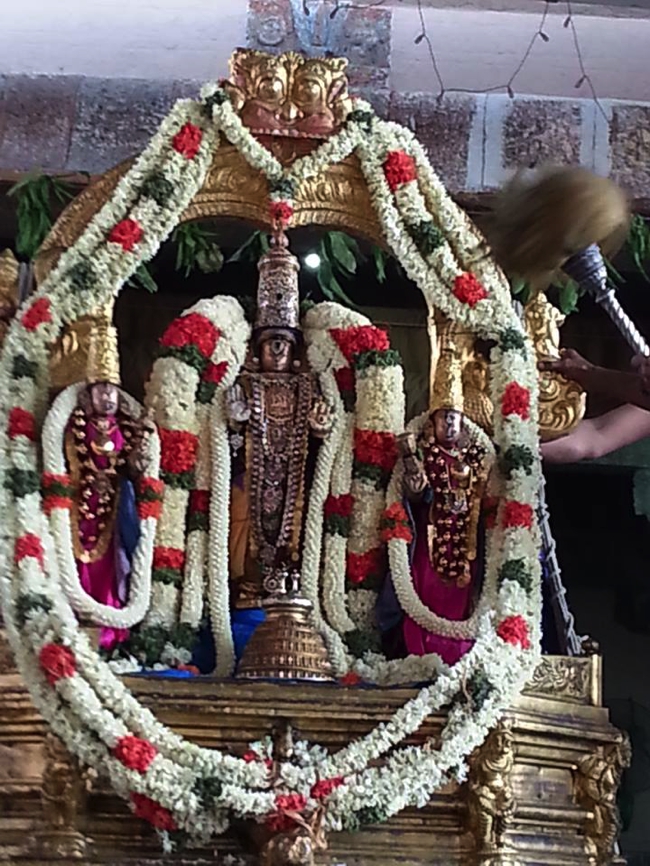 Thiruvallikeni-Sri-Parthasarathy-Swami_21