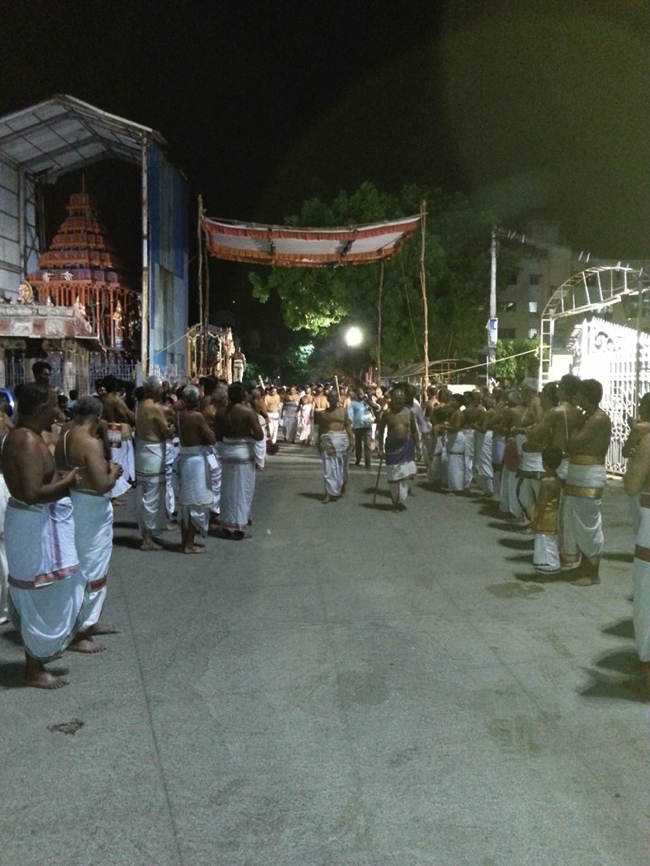 Thiruvallikeni-Sri-Parthasarathy-Swami_22