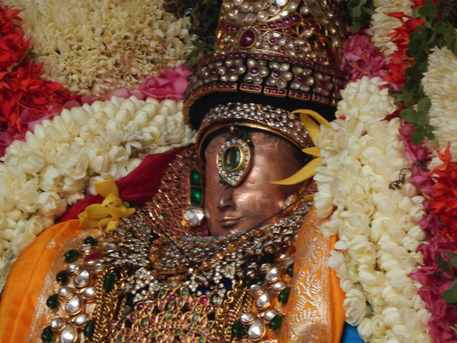 Thiruvallikeni-Sri-Parthasarathy-Swami_23
