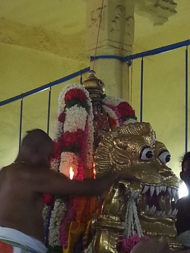 Thiruvallikeni-Sri-Parthasarathy-Swami_24