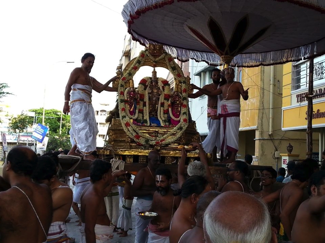 Thiruvallikeni-Sri-Parthasarathy-Swami_25
