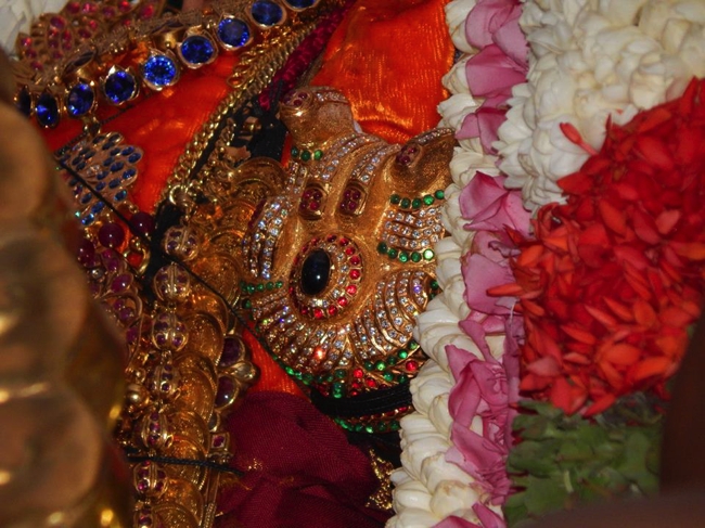 Thiruvallikeni-Sri-Parthasarathy-Swami_26