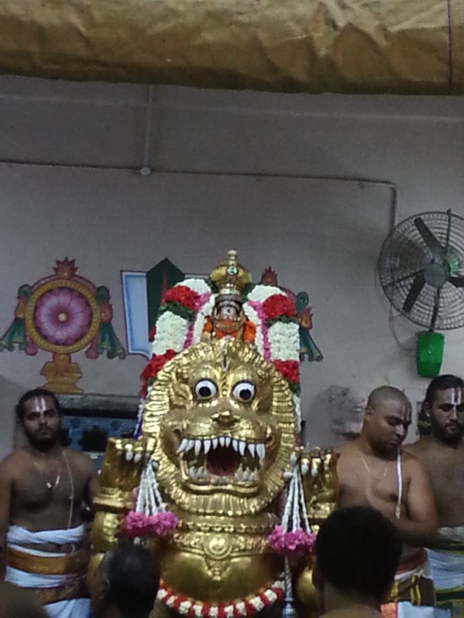 Thiruvallikeni-Sri-Parthasarathy-Swami_27