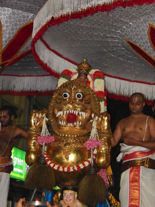 Thiruvallikeni-Sri-Parthasarathy-Swami_28