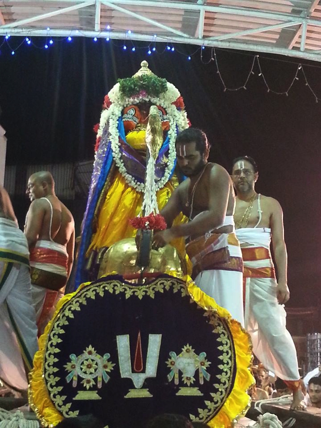 Thiruvallikeni-Sri-Parthasarathy-Swami_30