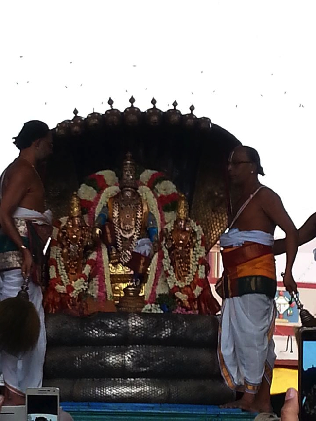 Thiruvallikeni-Sri-Parthasarathy-Swami_31