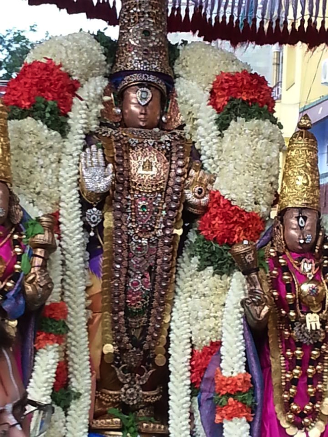Thiruvallikeni-Sri-Parthasarathy-Swami_32