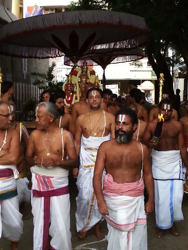 Thiruvallikeni-Sri-Parthasarathy-Swami_33