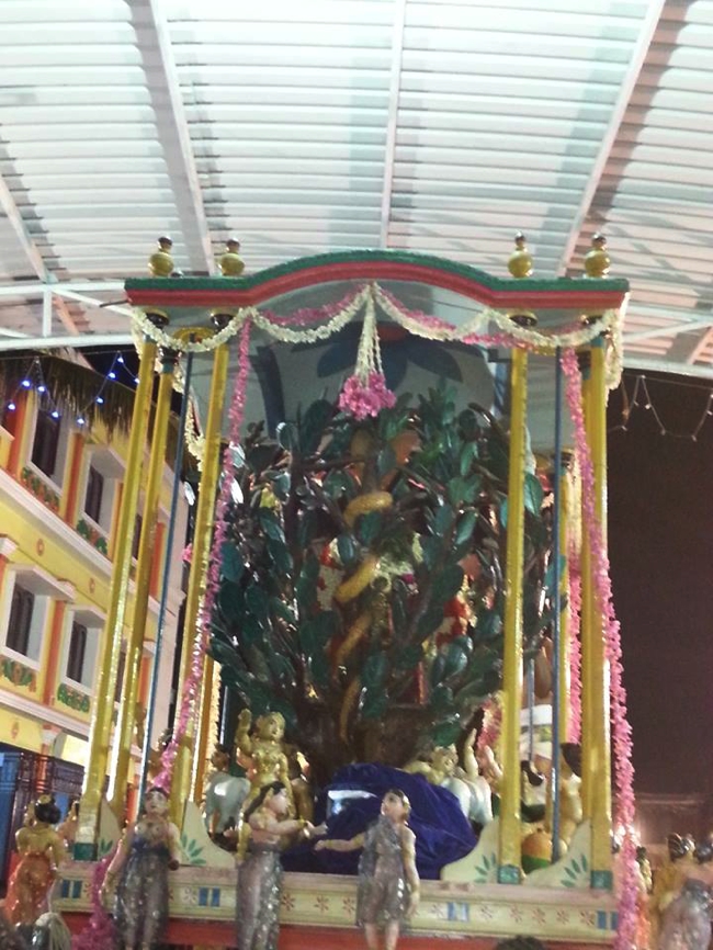 Thiruvallikeni-Sri-Parthasarathy-Swami_35