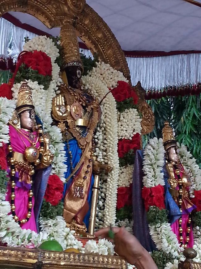 Thiruvallikeni-Sri-Parthasarathy-Swamy10