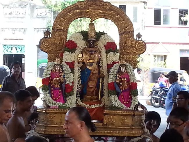 Thiruvallikeni-Sri-Parthasarathy-Swamy11