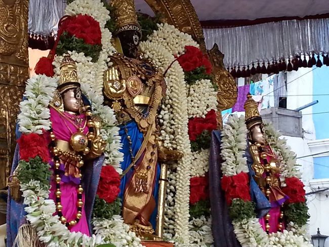 Thiruvallikeni-Sri-Parthasarathy-Swamy12