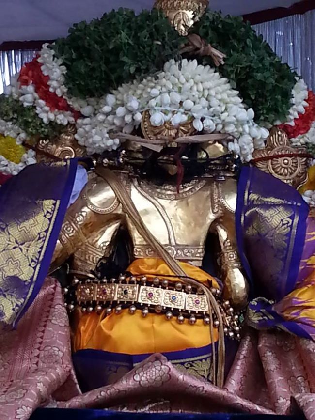Thiruvallikeni-Sri-Parthasarathy-Swamy15