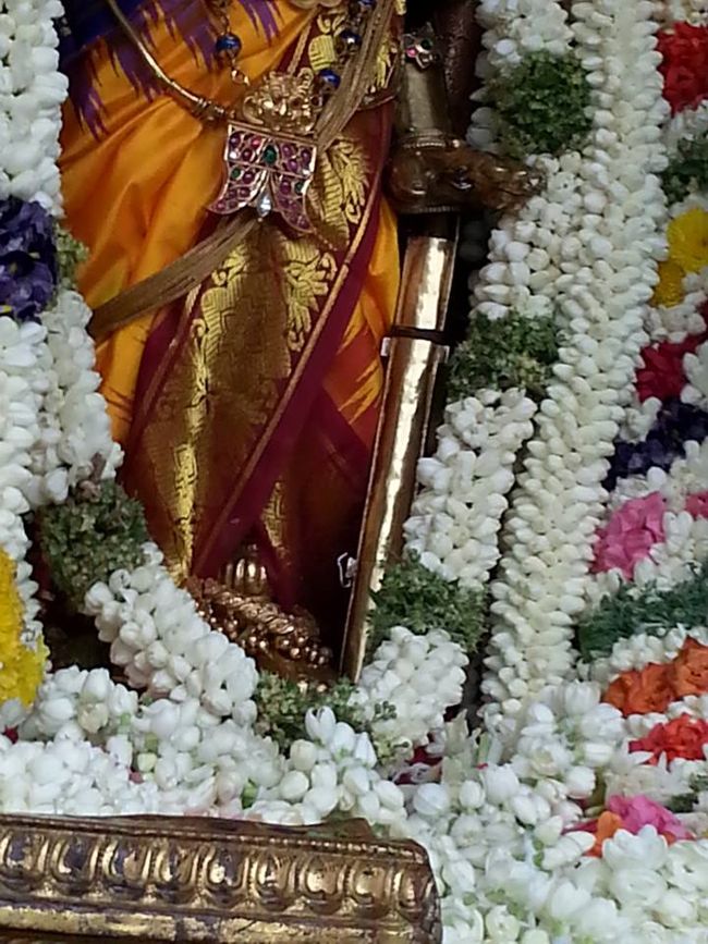 Thiruvallikeni-Sri-Parthasarathy-Swamy19