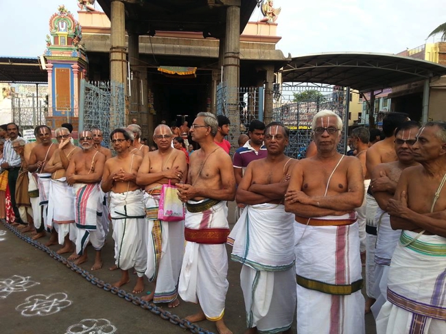 Thiruvallikeni-Sri-ThelliyaSingar_01