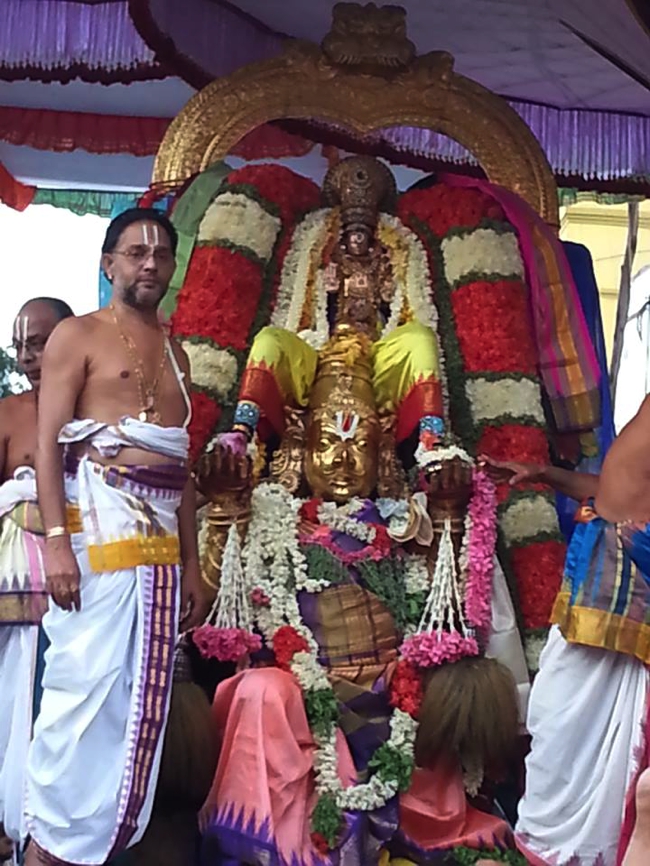 Thiruvallikeni-Sri-ThelliyaSingar_02