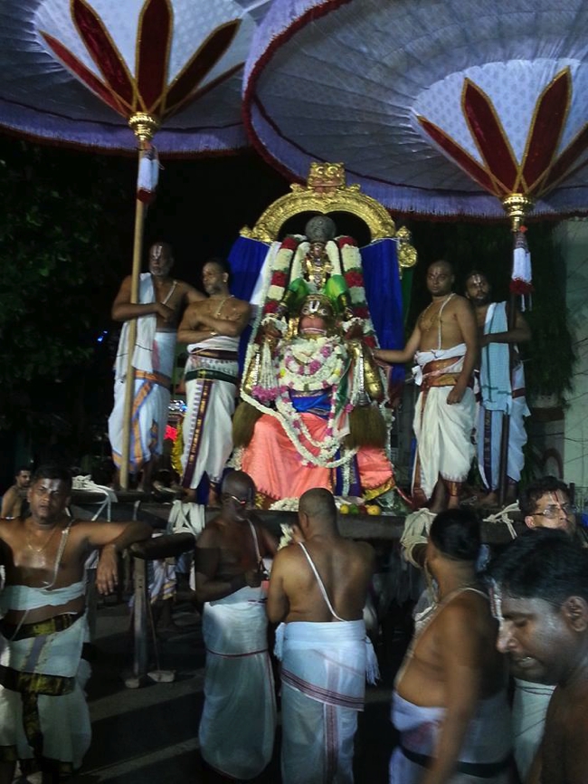 Thiruvallikeni-Sri-ThelliyaSingar_02