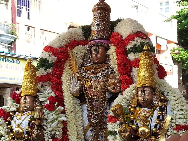 Thiruvallikeni-Sri-ThelliyaSingar_04