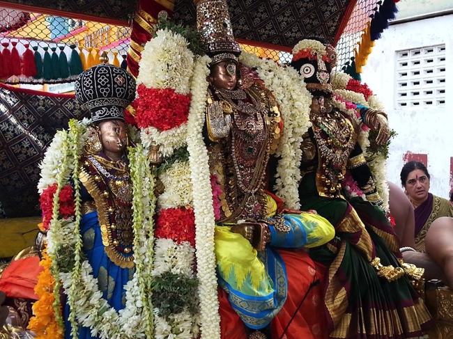Thiruvallikeni-Sri-ThelliyaSingar_04