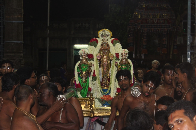 Thiruvallikeni-Sri-ThelliyaSingar_05