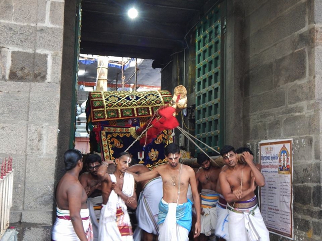 Thiruvallikeni-Sri-ThelliyaSingar_06