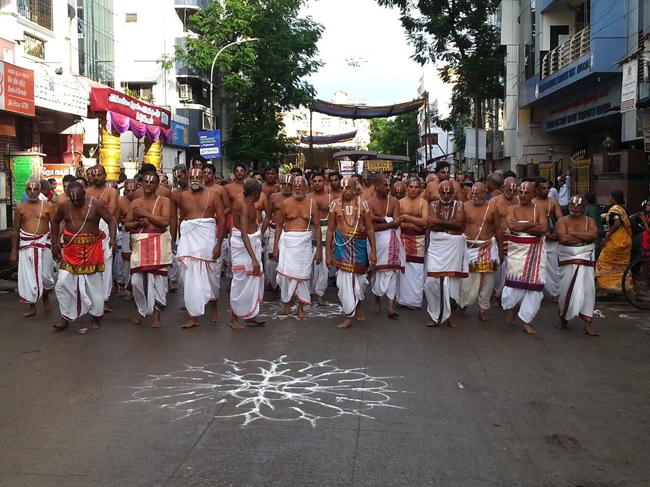 Thiruvallikeni-Sri-ThelliyaSingar_07
