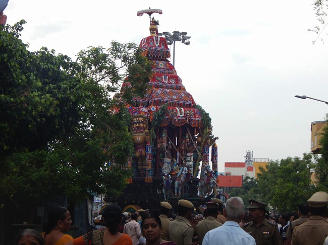 Thiruvallikeni-Sri-ThelliyaSingar_10