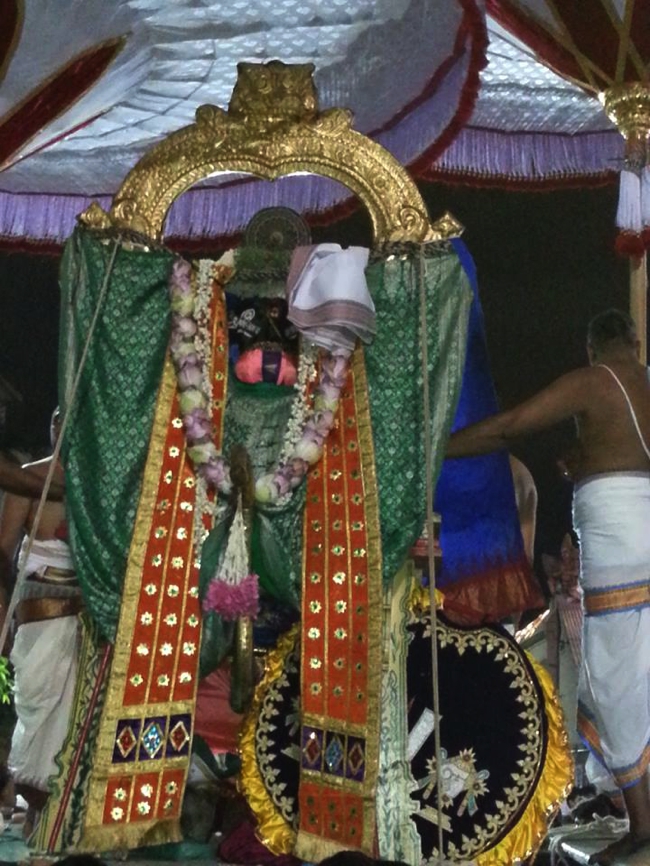Thiruvallikeni-Sri-ThelliyaSingar_11