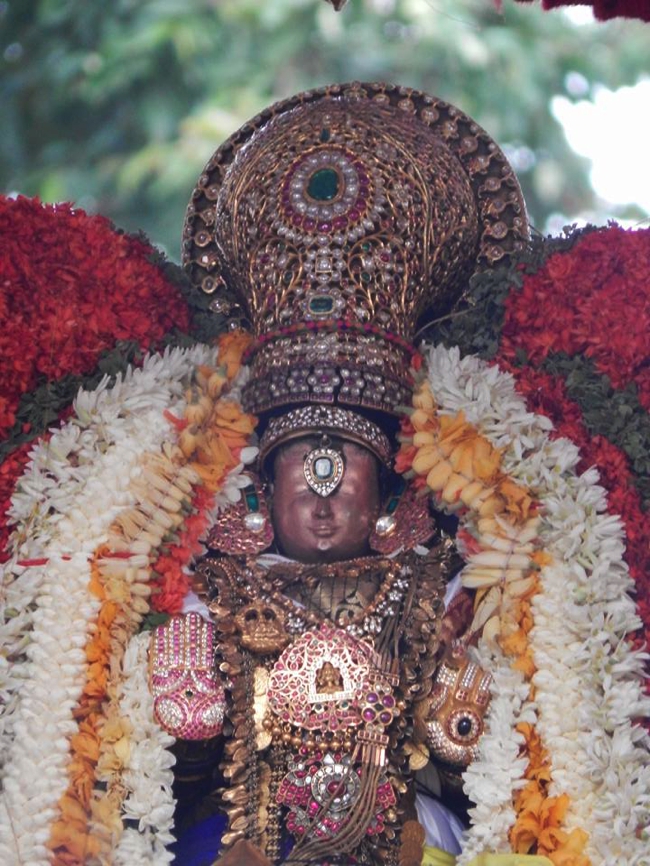 Thiruvallikeni-Sri-ThelliyaSingar_12