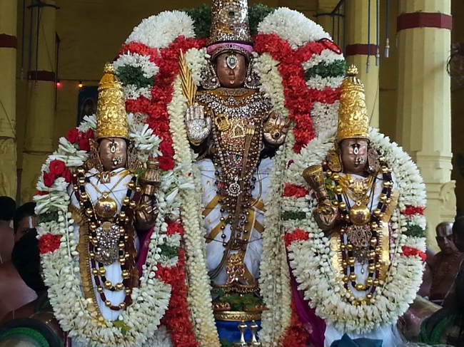 Thiruvallikeni-Sri-ThelliyaSingar_13