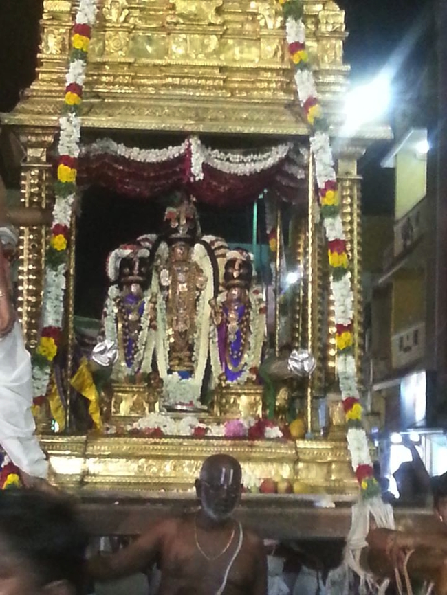 Thiruvallikeni-Sri-ThelliyaSingar_14