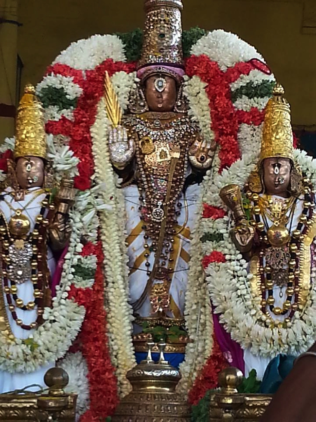 Thiruvallikeni-Sri-ThelliyaSingar_15