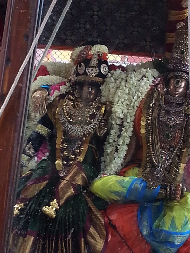 Thiruvallikeni-Sri-ThelliyaSingar_16