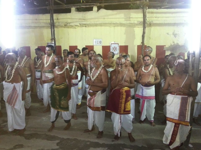 Thiruvallikeni-Sri-ThelliyaSingar_18
