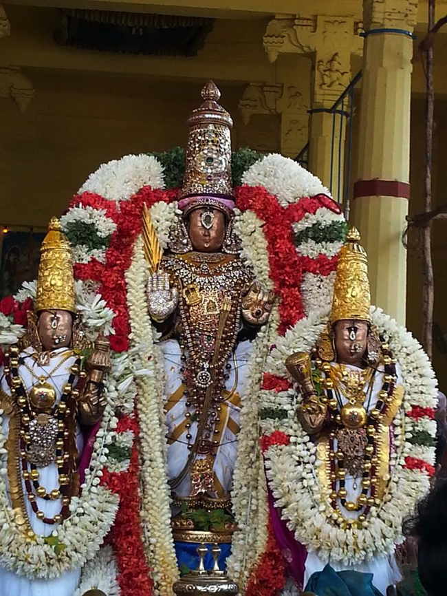Thiruvallikeni-Sri-ThelliyaSingar_19