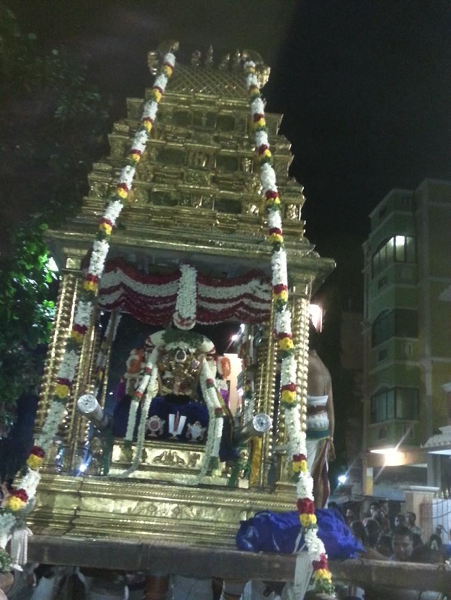 Thiruvallikeni-Sri-ThelliyaSingar_23