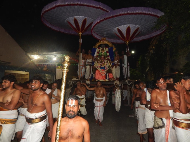 Thiruvallikeni-Sri-ThelliyaSingar_24