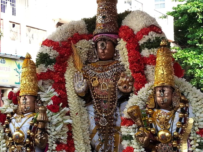 Thiruvallikeni-Sri-ThelliyaSingar_26