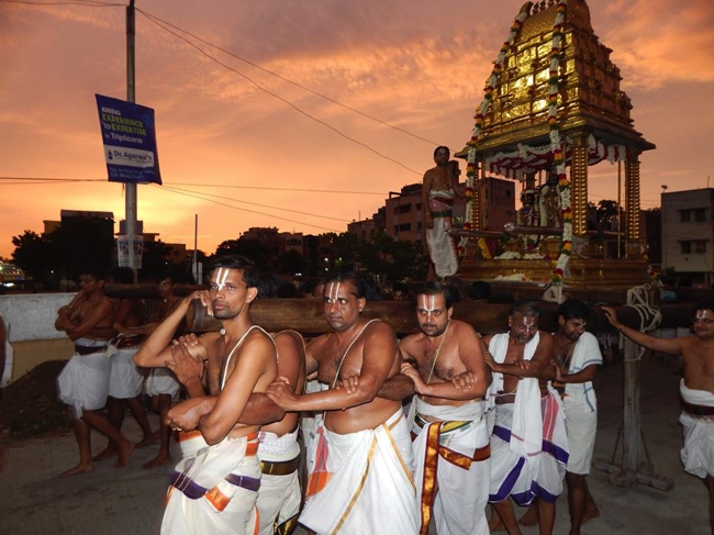 Thiruvallikeni-Sri-ThelliyaSingar_26