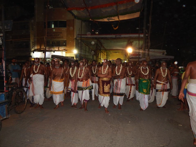 Thiruvallikeni-Sri-ThelliyaSingar_27
