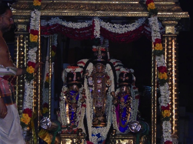 Thiruvallikeni-Sri-ThelliyaSingar_31