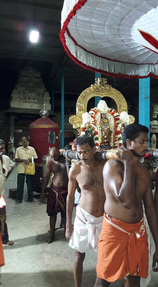 Thiruvallur-Sri-Veeraraghava-Perumal1