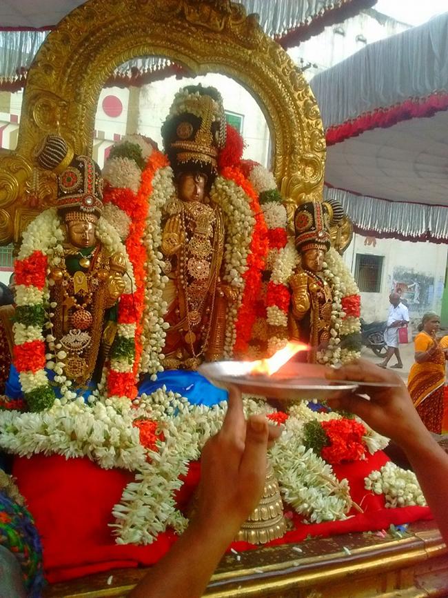 Thiruvallur-Sri-Veeraraghava-Perumal13